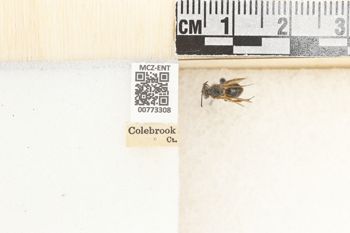 Media type: image;   Entomology 773308 Aspect: Labels